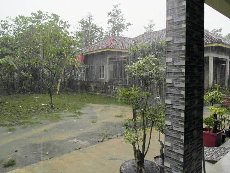 Rainwater collecting in low areas of a residential yard, illustrating natural stormwater flow across a property